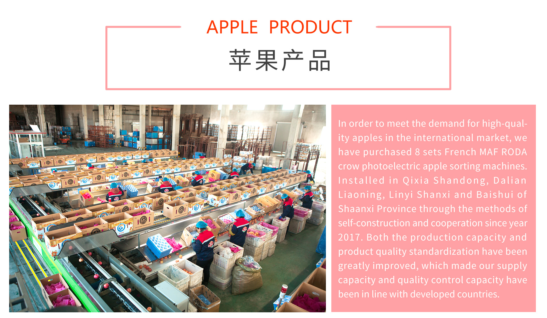 出口业务二级页面-苹果英文_04.jpg