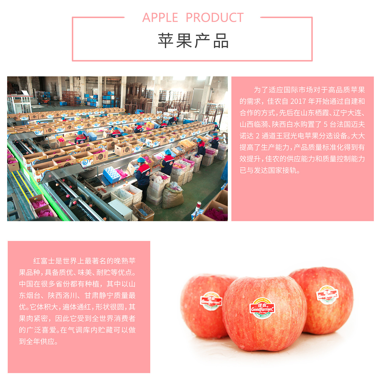 出口业务二级页面-苹果中文_02.jpg