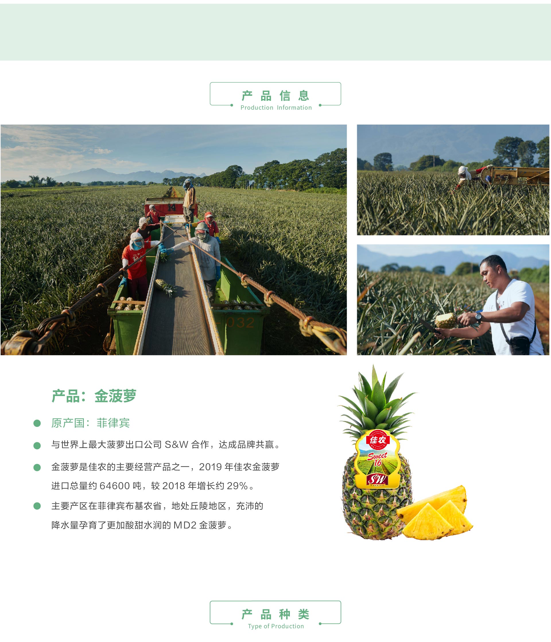 网站菠萝详情页_02.jpg