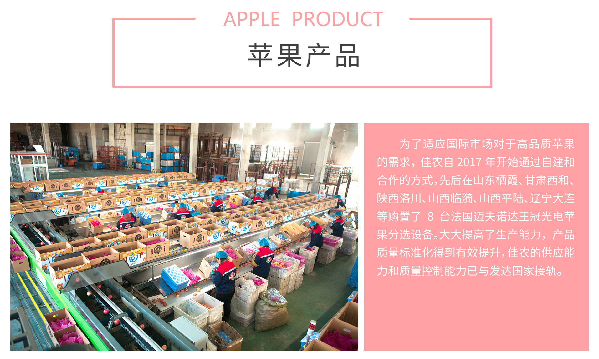出口业务二级页面-苹果中文_03.jpg