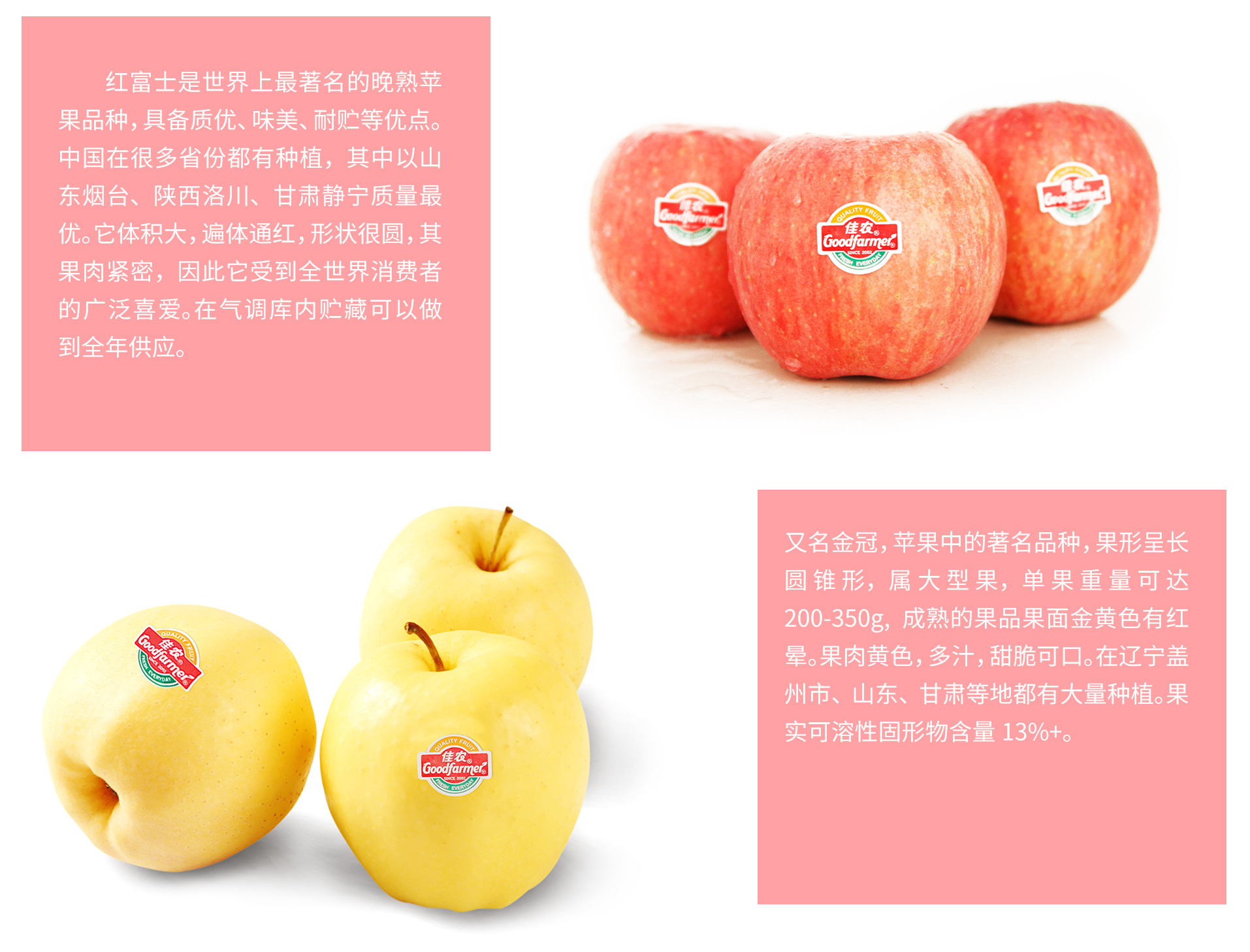 出口业务二级页面-苹果中文_08.jpg