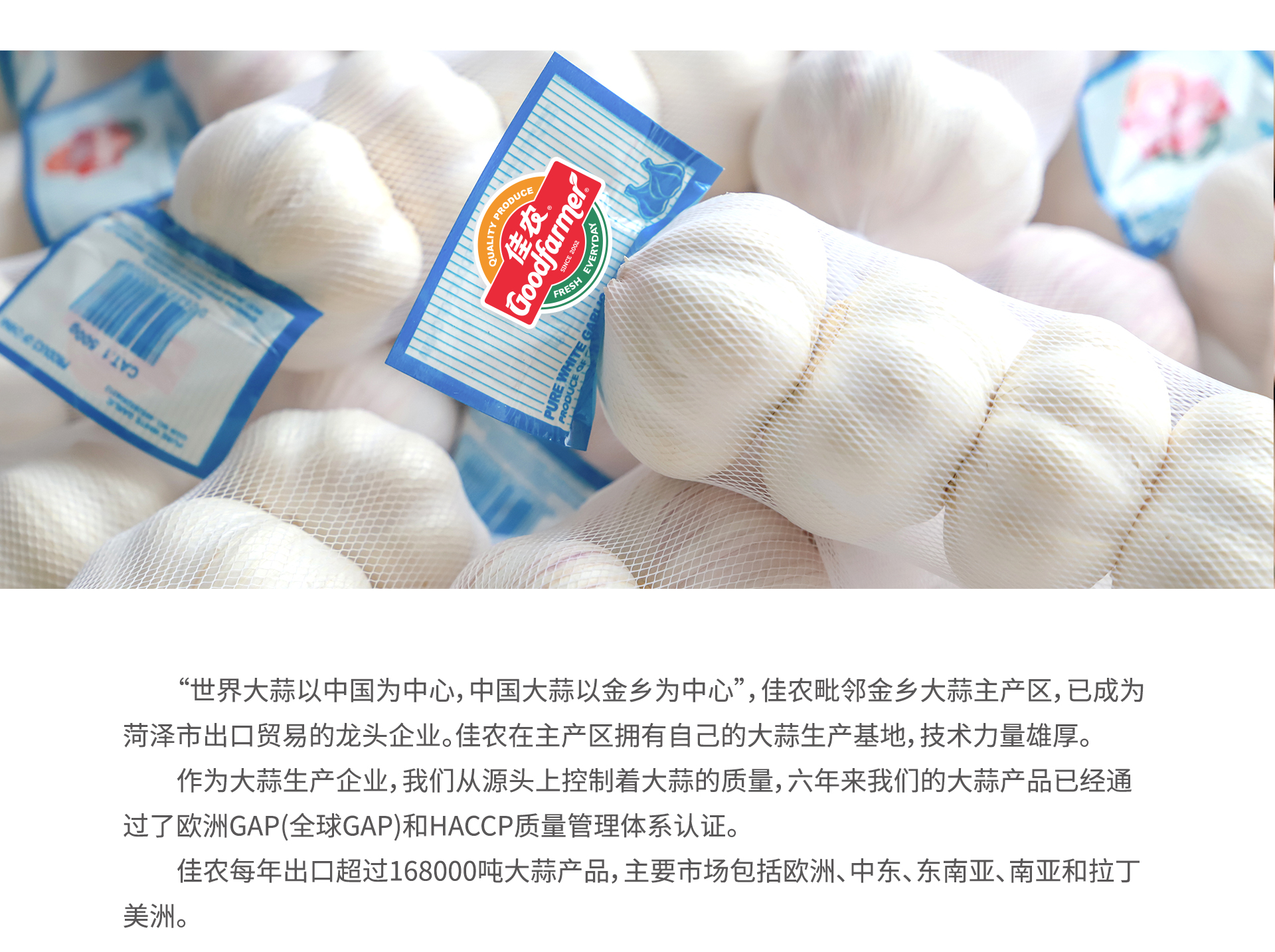 出口大蒜_03.jpg