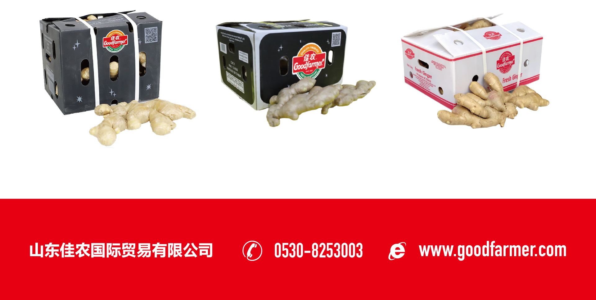 出口生姜_05.jpg